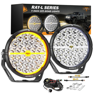 9 Inch 318W 34180 LED Driving Lights | RAY-L Series